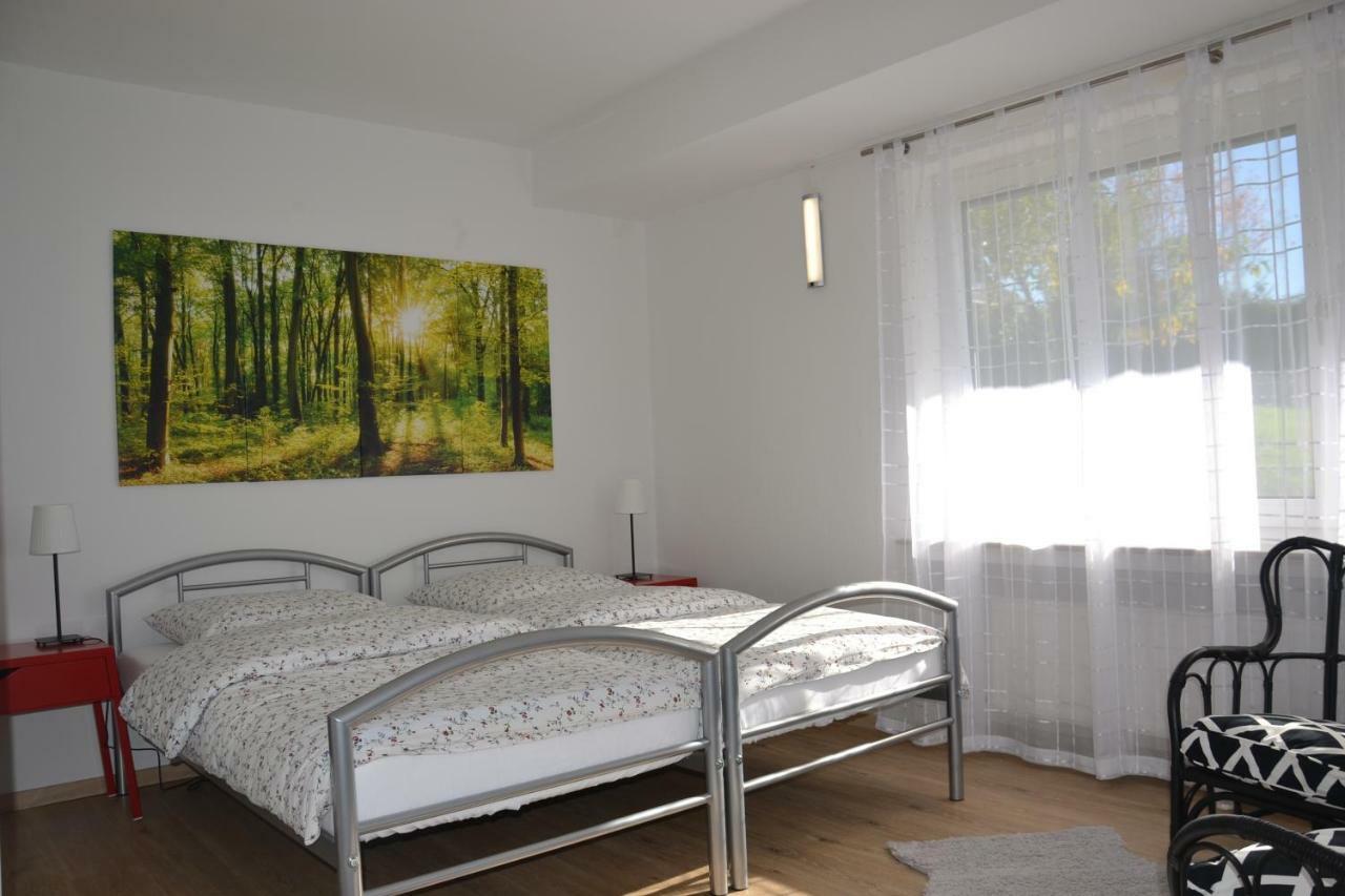 Fewo Lilly Willingen  Exterior foto